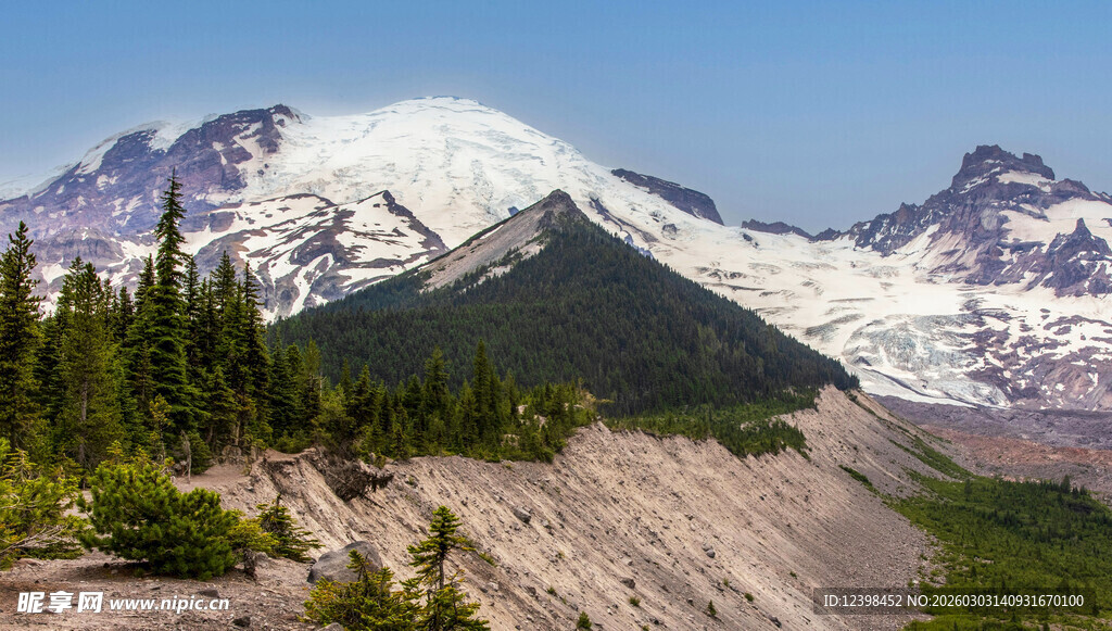 雪山下的葱郁山林