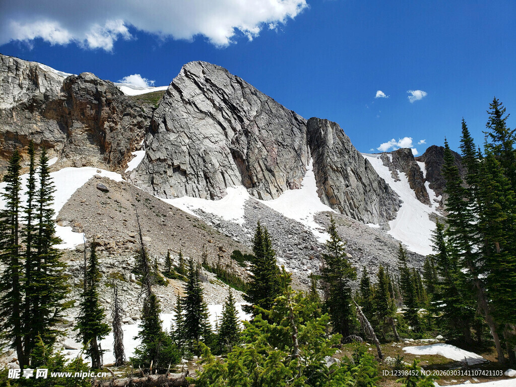雪山松林壮美自然风光