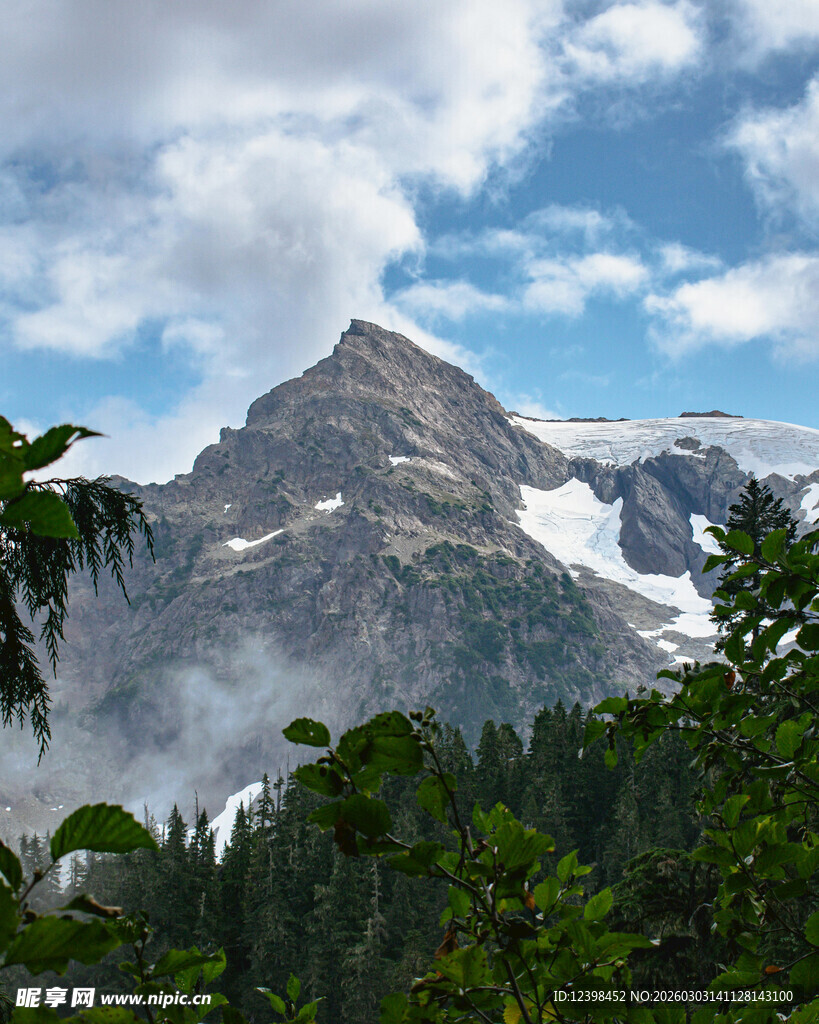 巍峨雪山下的葱郁森林