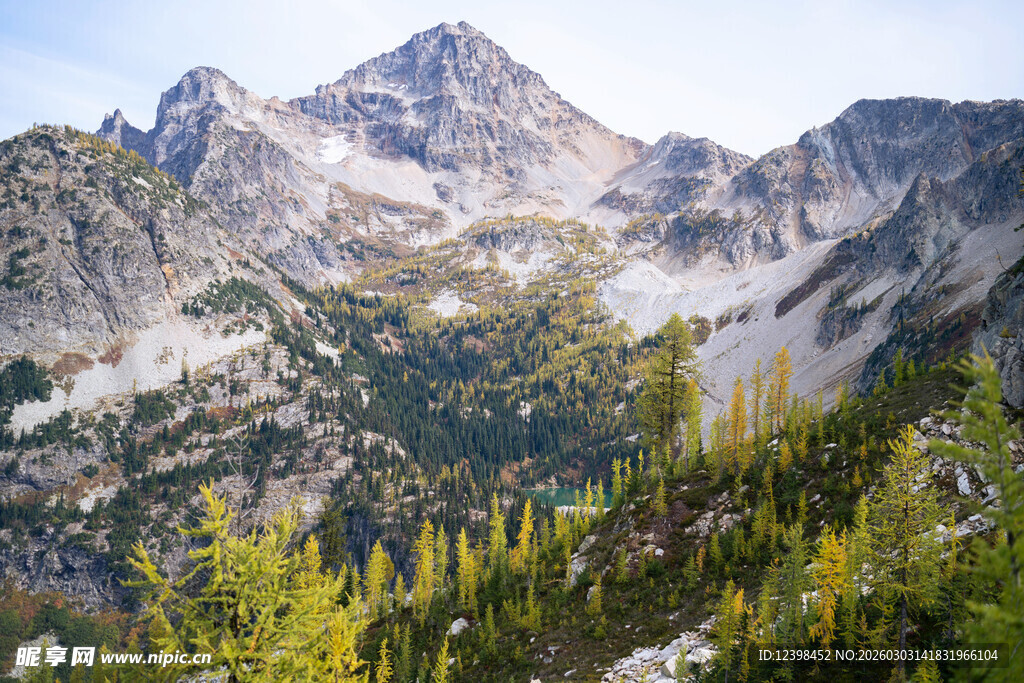 壮丽山景与葱郁林木