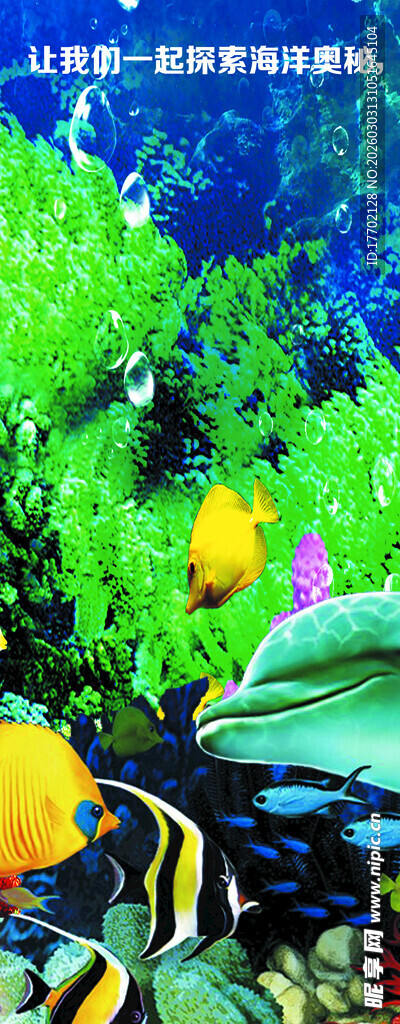 海底多彩鱼群与珊瑚景观