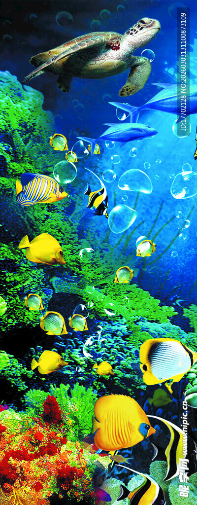 海底缤纷世界的多彩鱼类