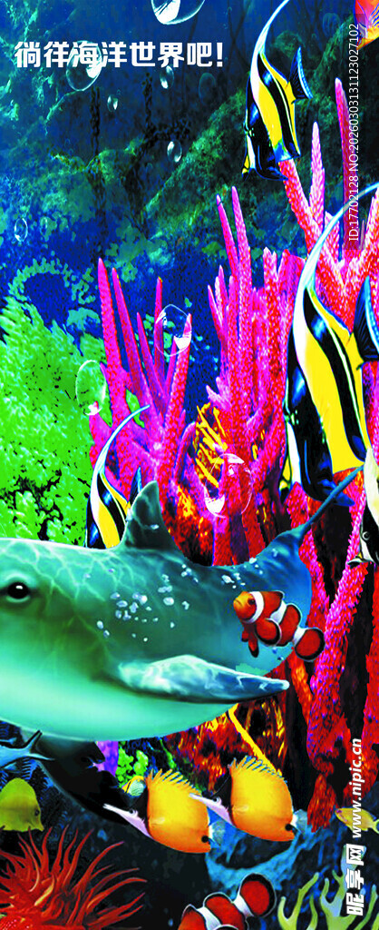 绚丽多彩的海底珊瑚景观