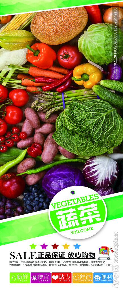 新鲜多样蔬菜组合