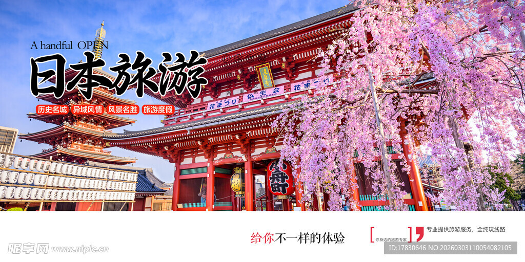 日本京都盛开的烂漫樱花