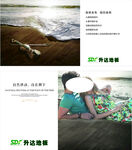 升达地板 灯箱海报