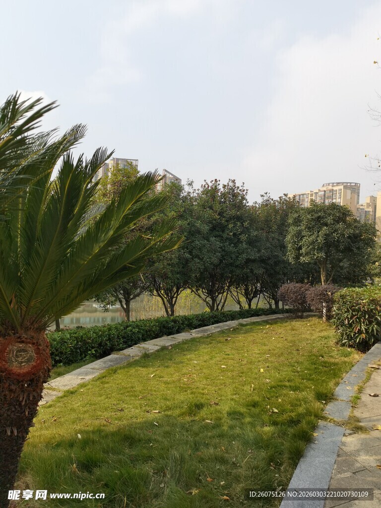 城市中的绿意盎然景观