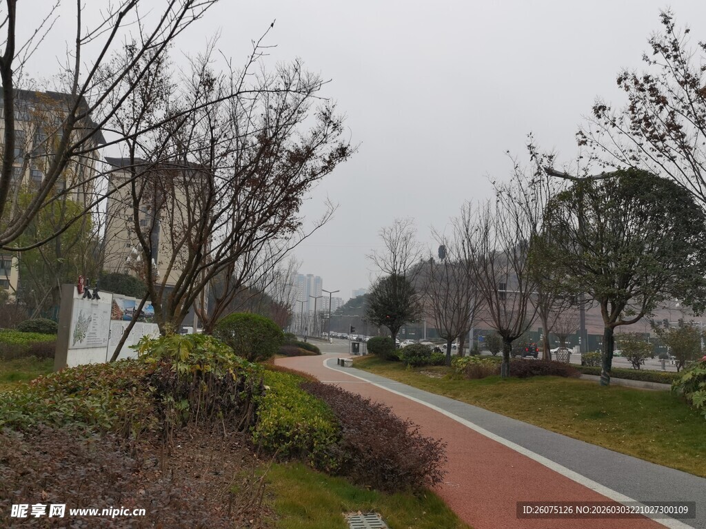 城市中色彩鲜明的林荫步道