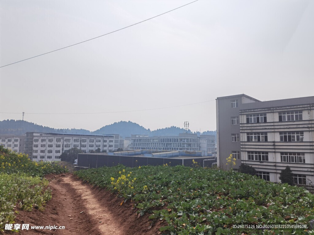 乡村田野间的小路与建筑