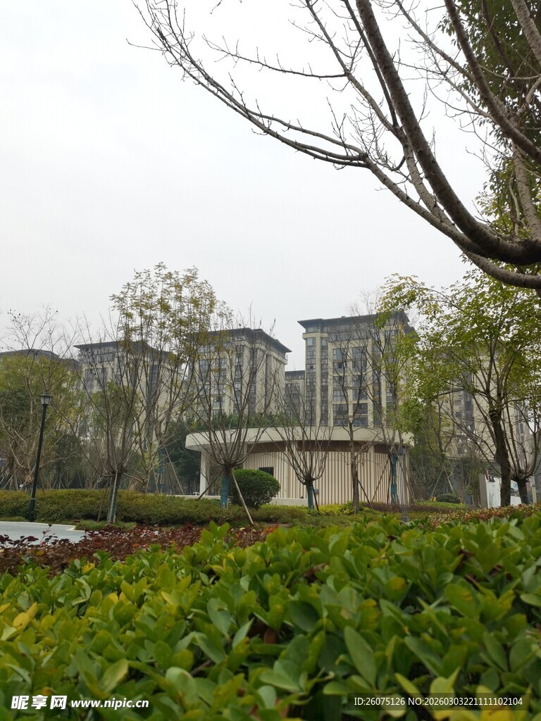 现代建筑旁的绿植景观