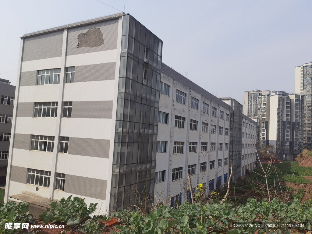 多层灰白建筑旁绿植环绕