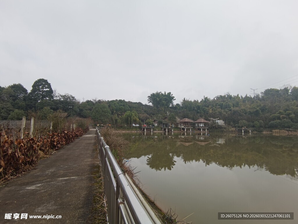 乡村池塘边的宁静景象