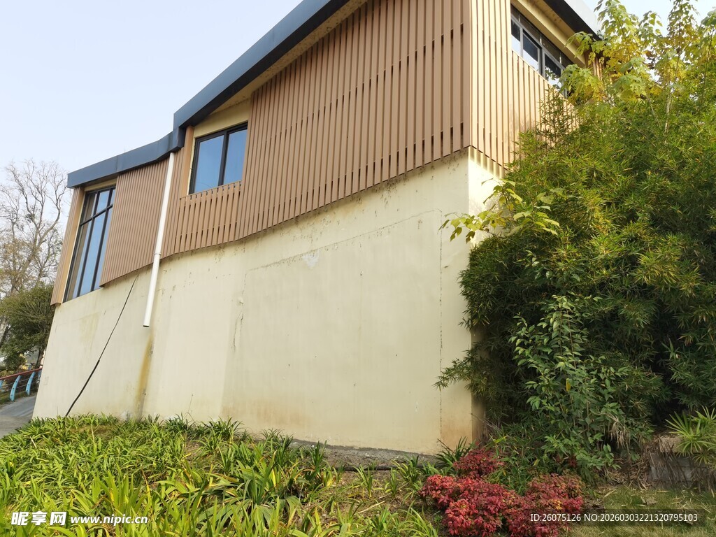 带绿植环绕的温馨住宅