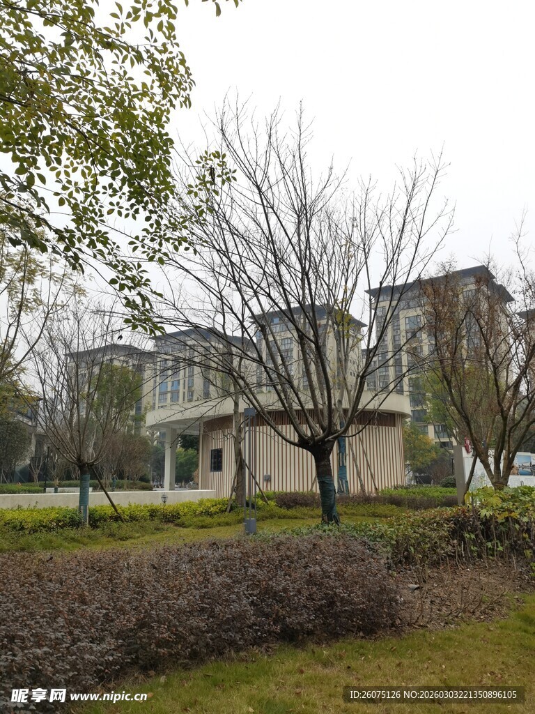 现代风格别墅周边景致