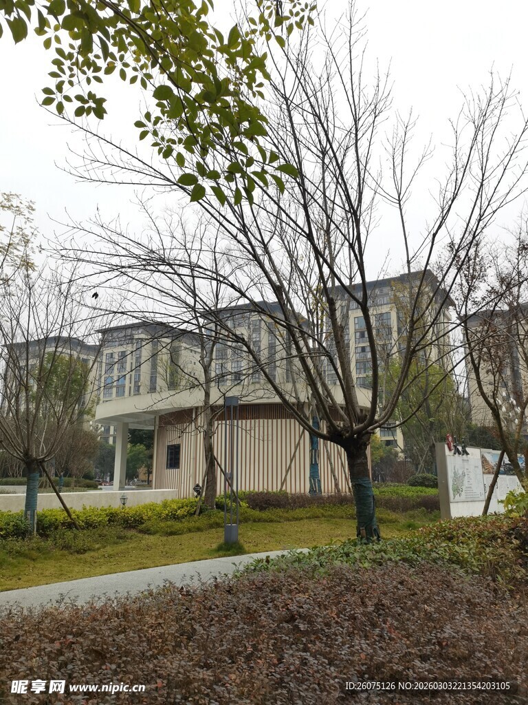 现代风格别墅周边景观