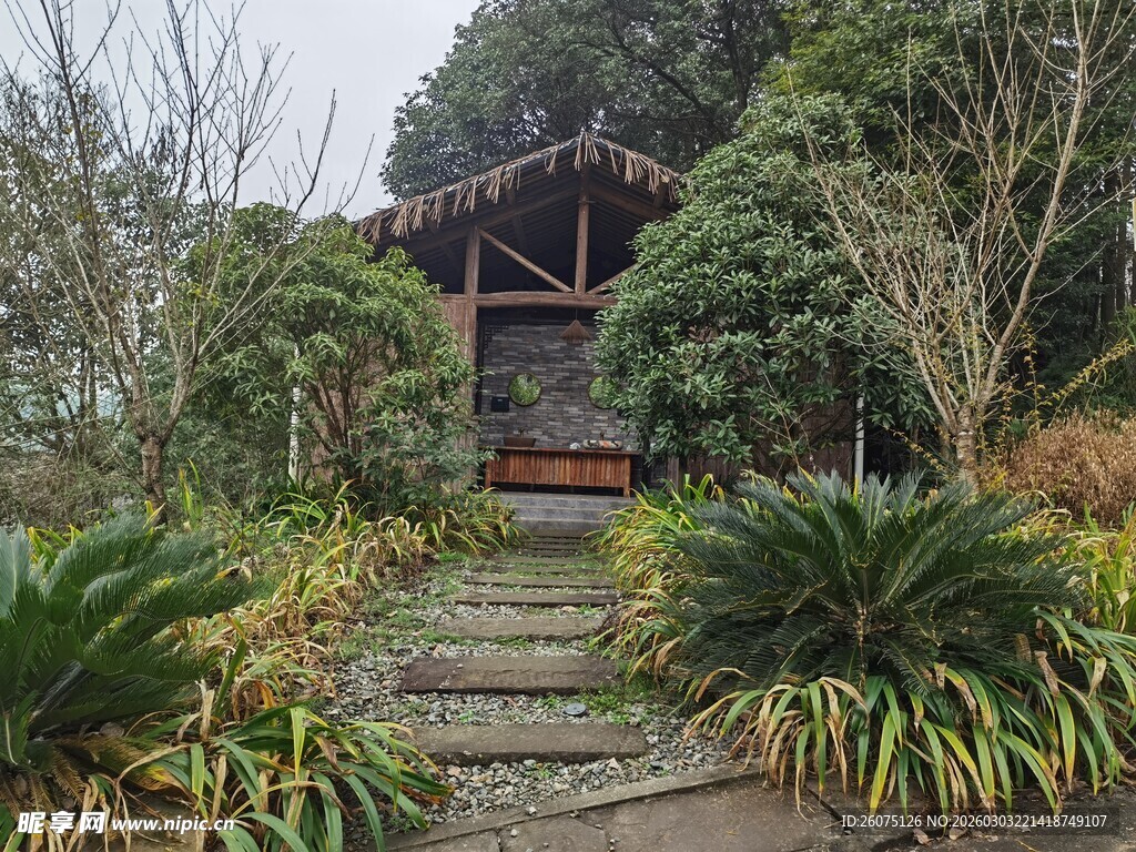 中式园林小径与绿植景观