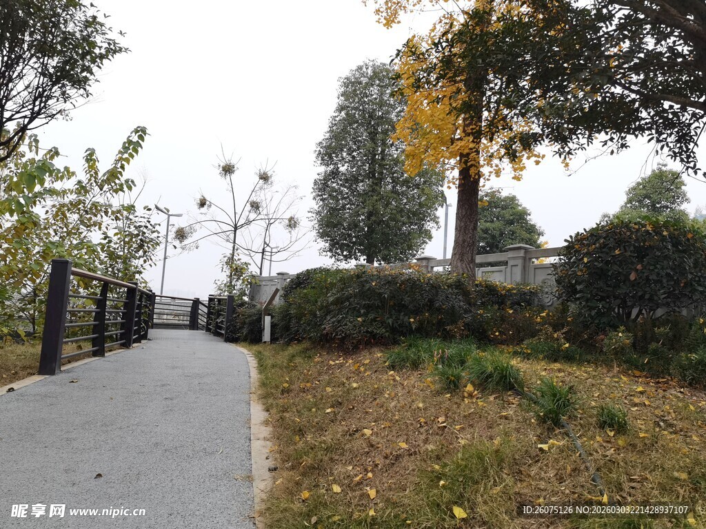 秋日公园幽静小路景致
