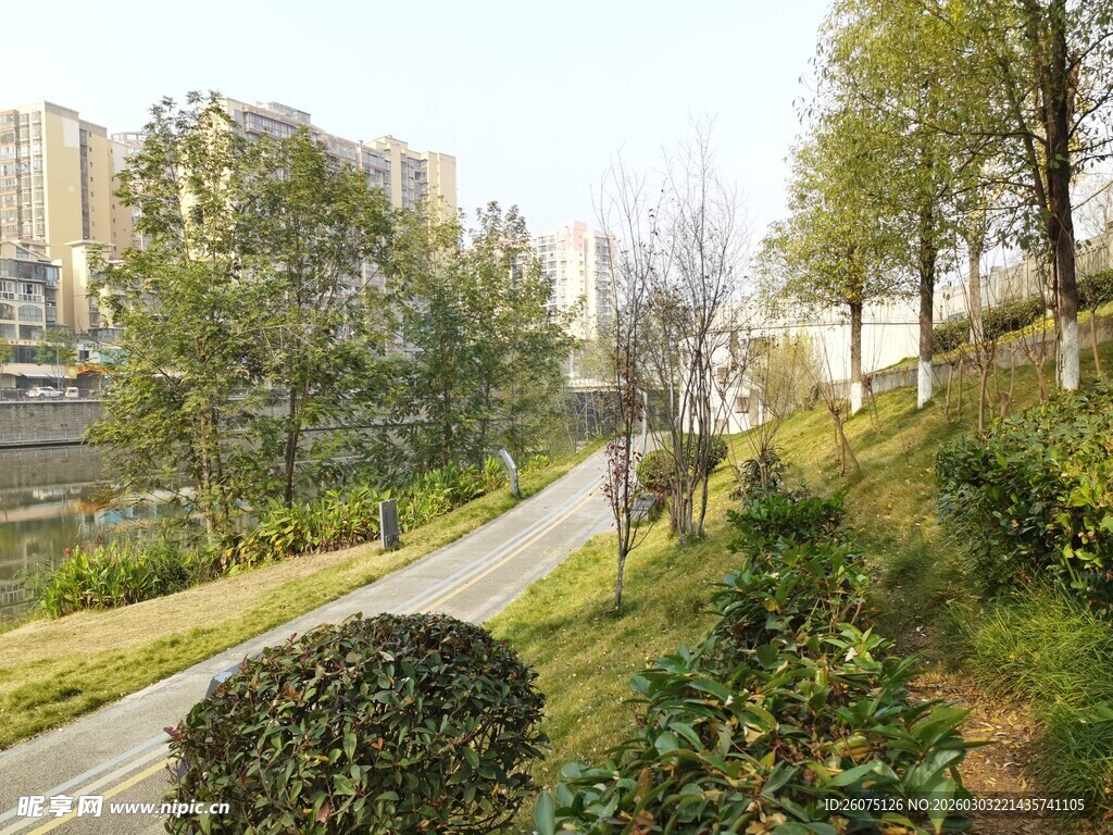 城市中的绿意小径