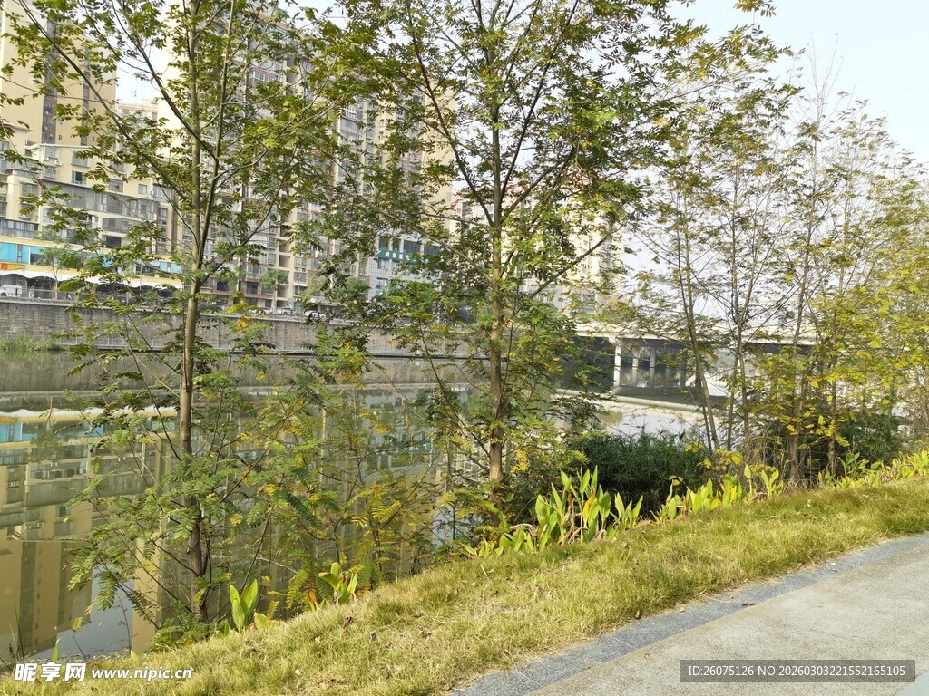 河畔小路旁的绿植与桥梁