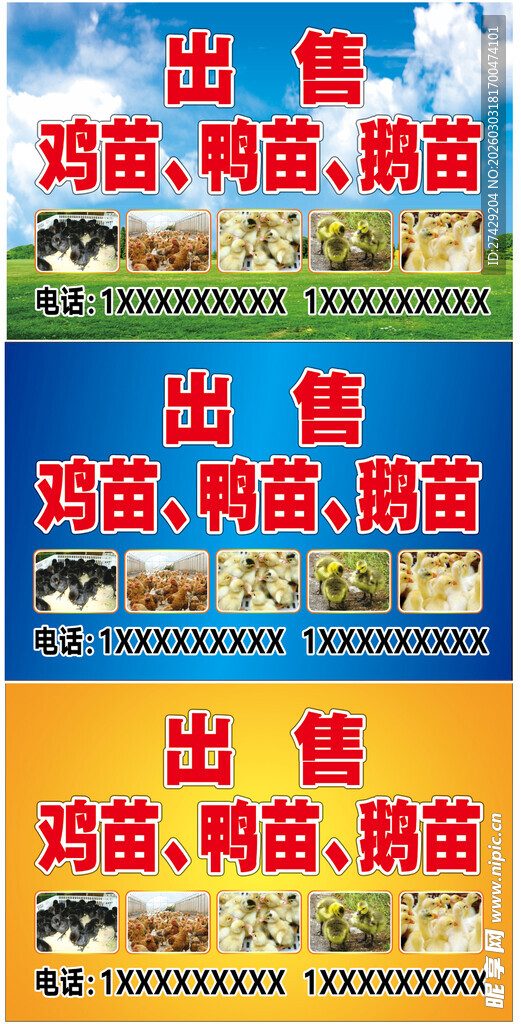 出售鸡苗鸭苗鹅苗广告海报