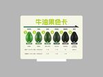 牛油果色卡展示