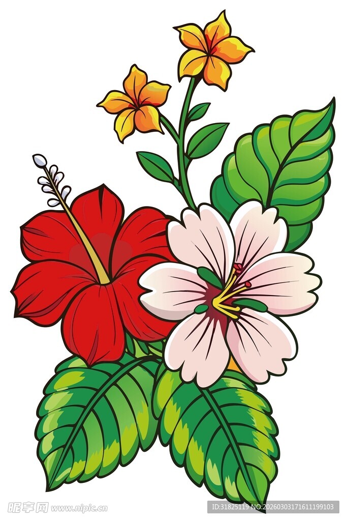 多彩扶桑花插画