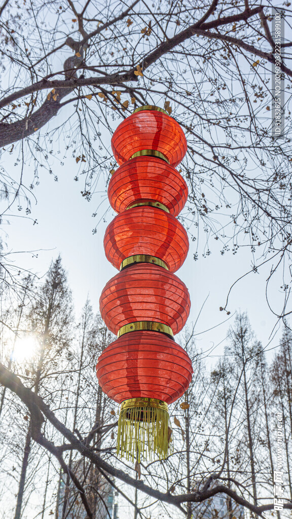树枝上的喜庆红灯笼