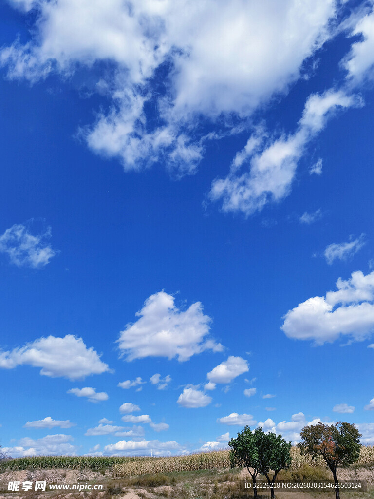 蓝天白云下的开阔原野