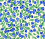 蓝果绿叶水彩图案背景