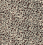 豹纹图案布料纹理