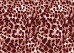豹纹图案纹理