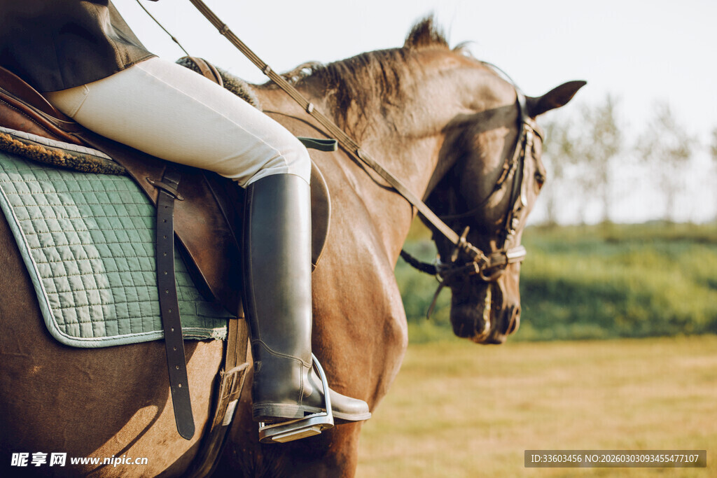 骑手骑马于开阔草地