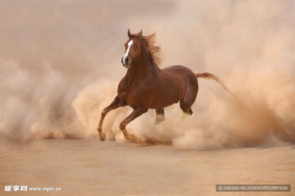 奔腾骏马扬起沙尘