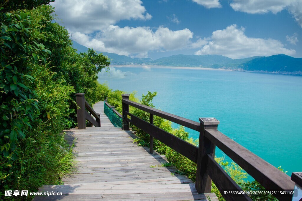 海边木栈道的清新景致