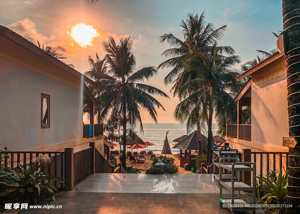 夕阳下的热带风情庭院