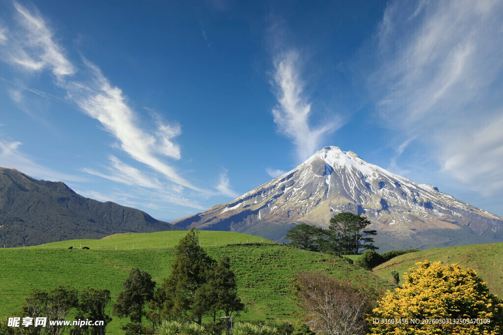 壮丽雪山下的绿野风光
