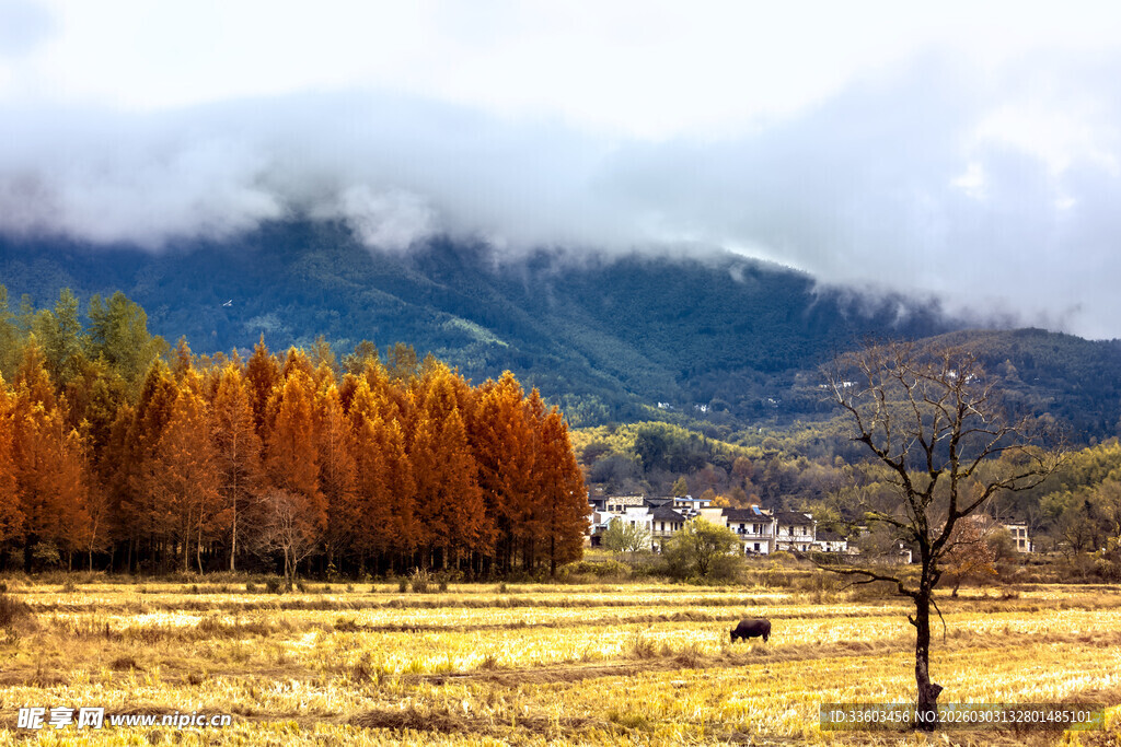 秋日旷野山林美景
