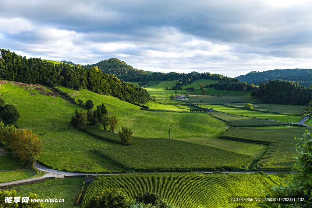 田园绿野风光美景