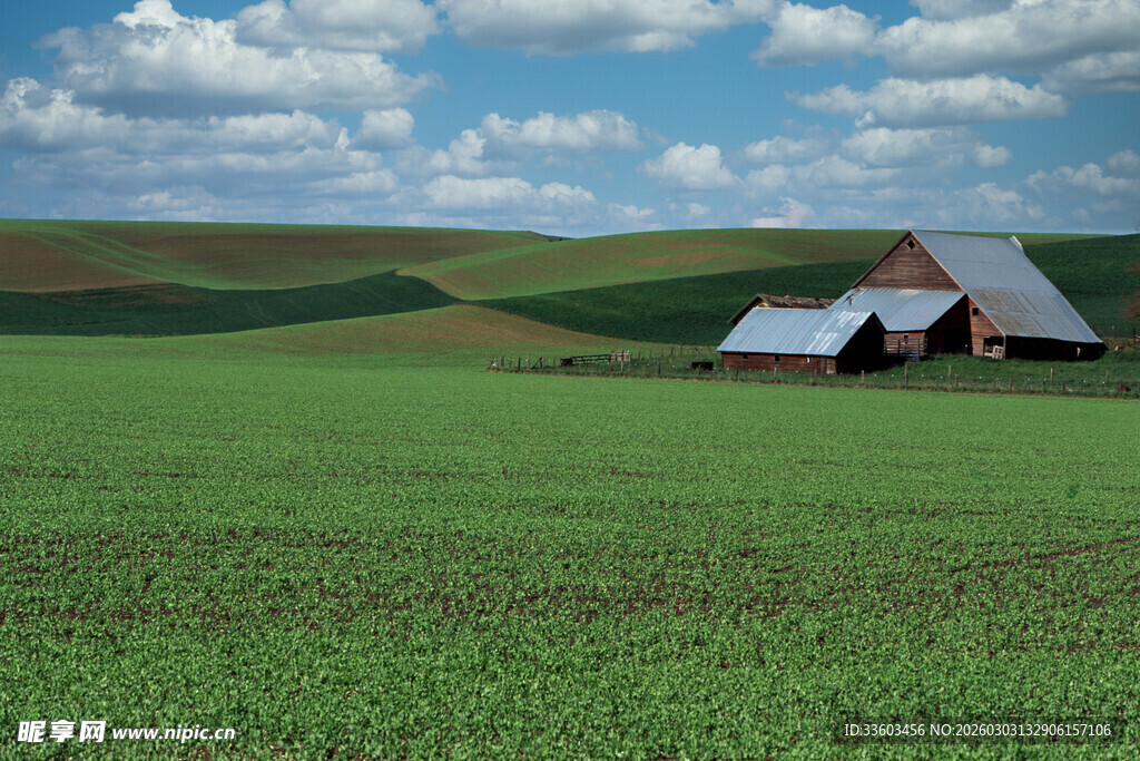 广袤田野中的乡村农舍