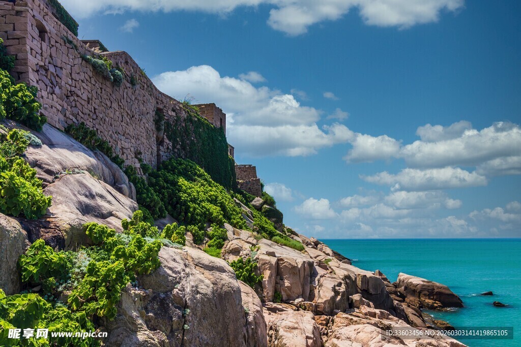 海边嶙峋山石与葱郁植被