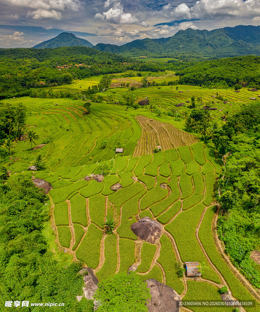 俯瞰翠绿梯田与广袤田野