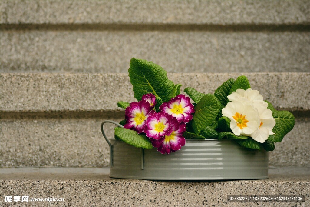 金属盆中的多彩花卉