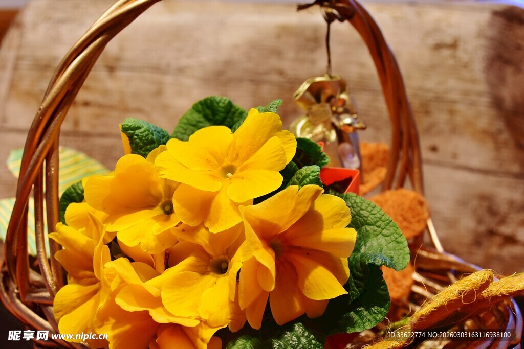 花篮中的明艳黄色花朵