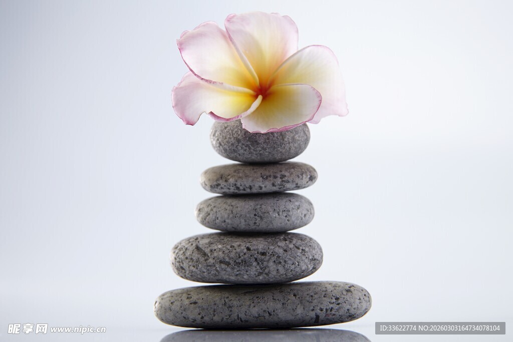 石上繁花静谧平衡之美