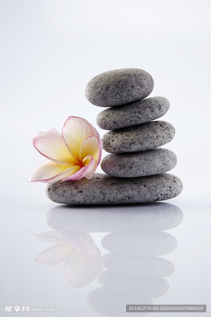 禅意石堆与娇艳鸡蛋花