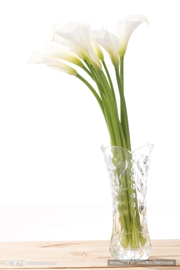 透明花瓶中的白色马蹄莲