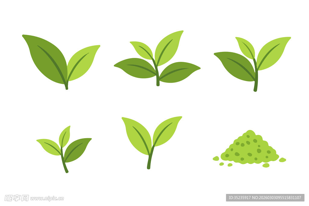 绿叶与茶叶素材