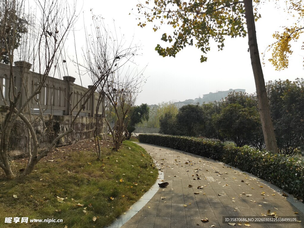 冬日幽静小路景观