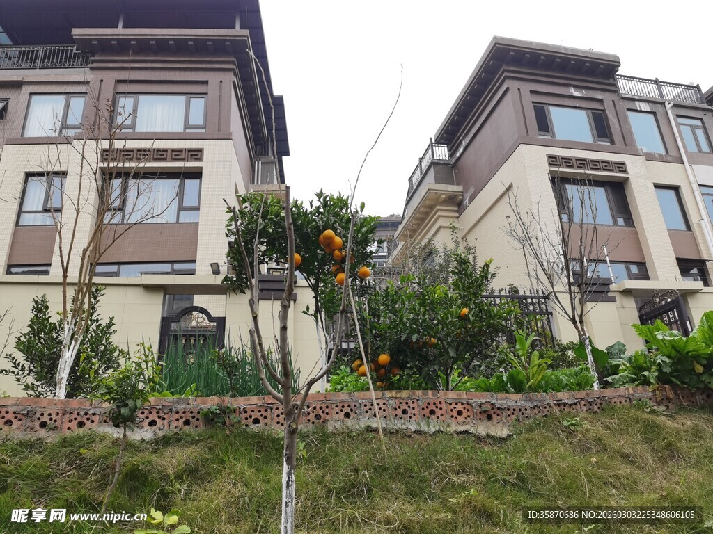 豪华别墅周边绿植景观