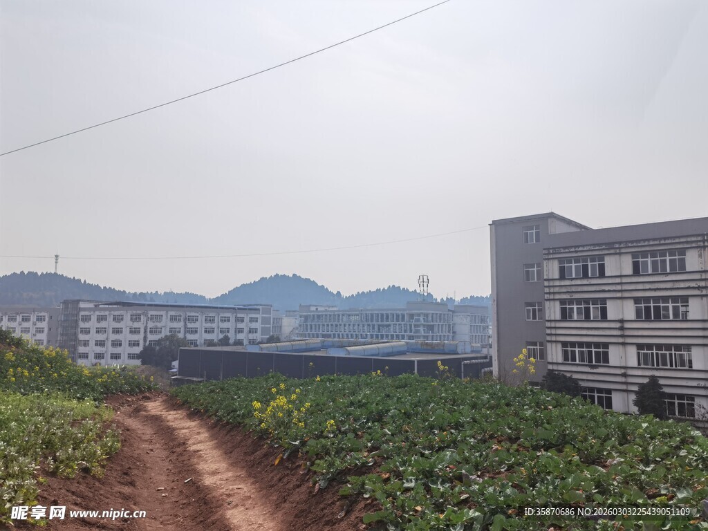 乡村田间小路与远处建筑